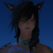 Arnumera