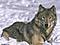 Wolfheart