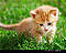 tiglath