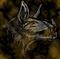 Llyod / Nocturness