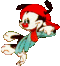 Wakko