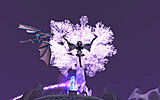 Arbre !