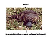 a1180
