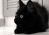 SAM 0074