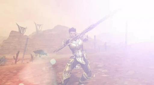 Présentation Guerrier