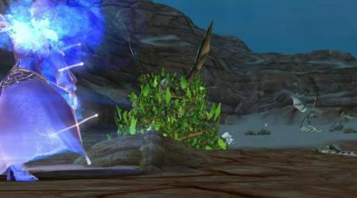 Présentation Magicien