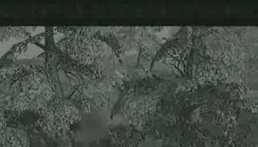 Introduction de l'instance des Grottes de Donn