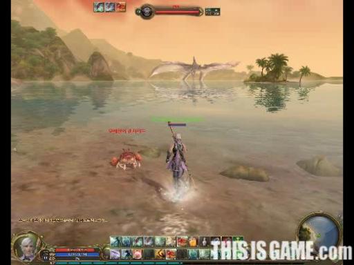 Vidéo CBT: Créature volante au dessus de la mer