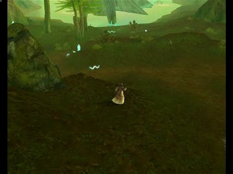 Vidéo CBT - Découverte d'une forêt immémoriale