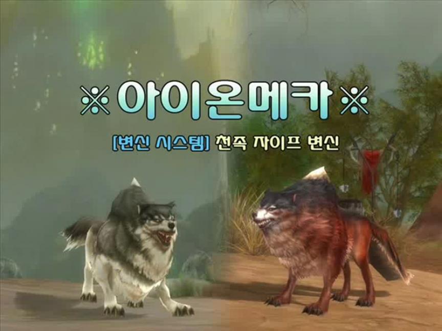 Les transformations dans Aion - Le loup