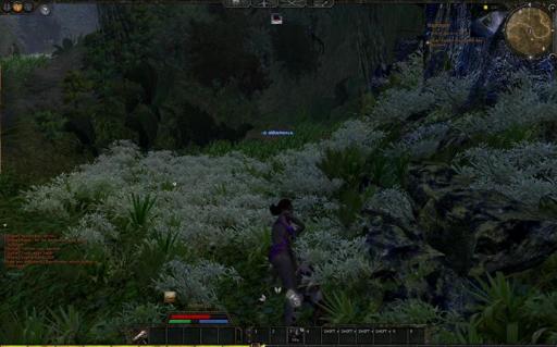 Open Beta II : Traversée de la jungle de Tortage