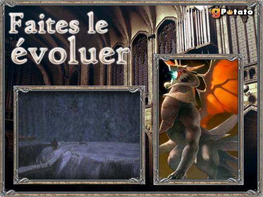 Cerbère et Dragon Blanc