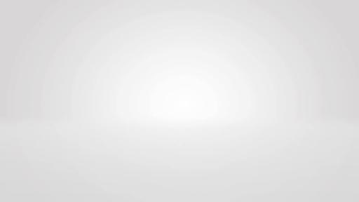 Présentation des forteresses: Le Champ de Force