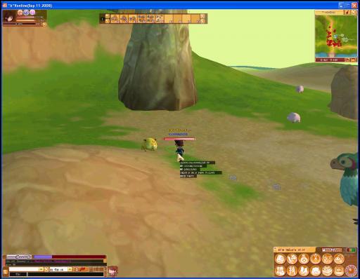 Les « pets » de Dream of Mirror Online