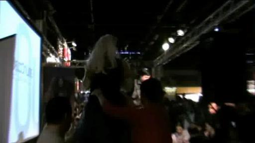 Défilé Cosplay (FJV 2008)