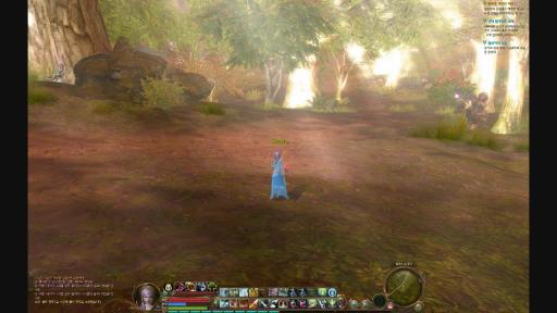 Gameplay spiritualiste lvl 13