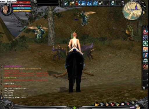 La solitude d'une prêtresse