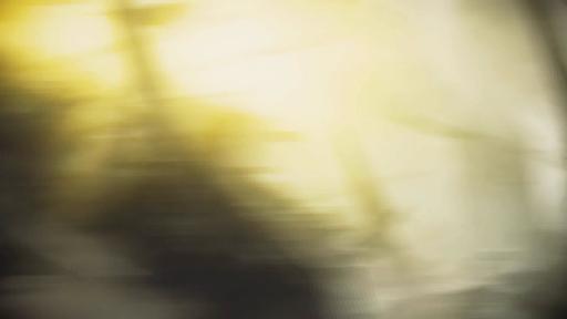 Première bande-annonce de Guild Wars 2