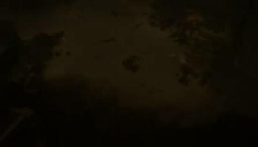 Le moine : défense impénétrable