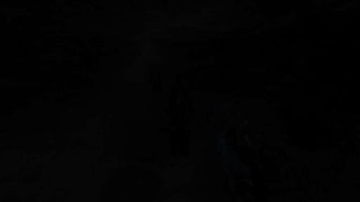 [Prix MMO Machinima 2009] West Ryder