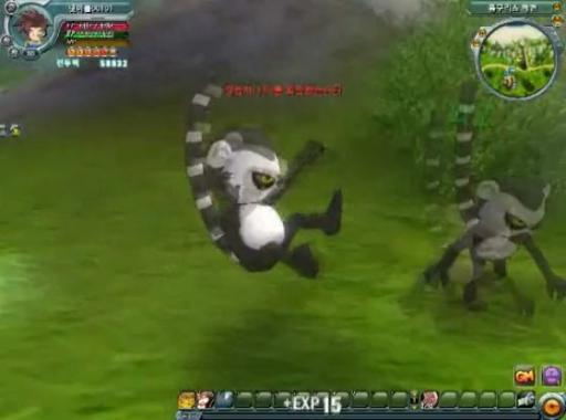 Combat contre un ouistiti