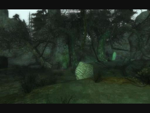 Vue d'une zone de la Fôret Noire