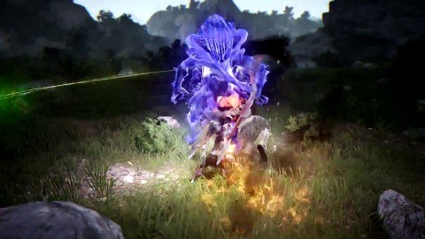 Aperçu des world bosses et sièges de Black Desert Online