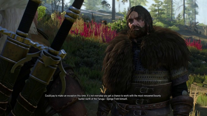 Aperçu du gameplay brut de The Witcher 3: Wild Hunt