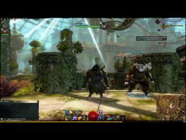 Progression sur Guild Wars 2 et discussion autour de l'extension Heart of Thorns