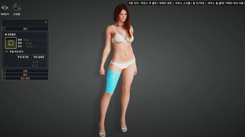 Aperçu des options de personnalisation de la Valkyrie de Black Desert Online