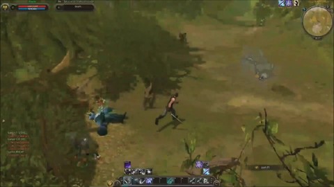 Aperçu des donjons des Cabal II