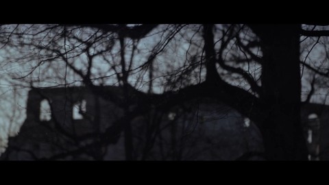 Les monstres de The Witcher 3