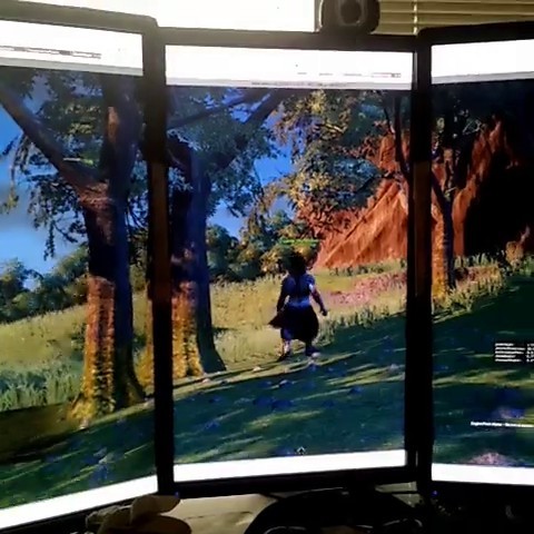 Première itération de la flore