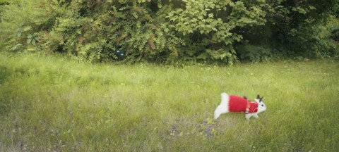 Bande-annonce "live action" de lancement de Forsaken World Mobile