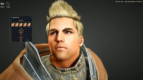 Présentation du guerrier de Black Desert Online