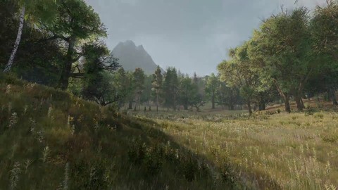 Aperçu des effets climatiques de Life is Feudal