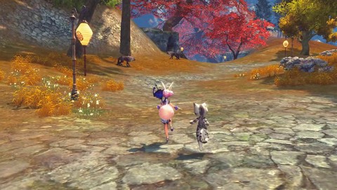 Aperçu des capacités du Gardien de la Nature de Blade & Soul (VOSTFR)