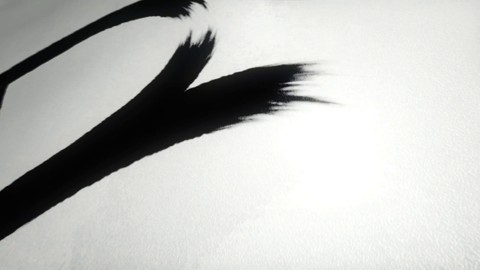 Blackwood Crossing - Premier aperçu du jeu