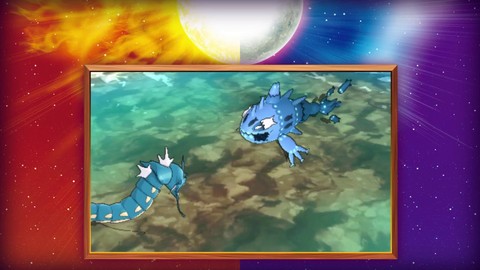 Découverte de nouveaux Pokémon et présentation de la Team Skull