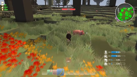 Premier aperçu d'Islet Online