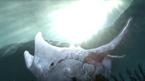 Aperçu de la mise à jour « Seigneurs des mers » de Black Desert (Russie)