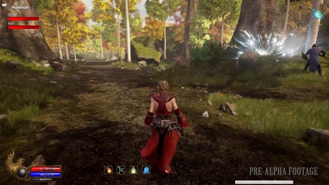 Pré-alpha : une vie de mage dans Ashes of Creation