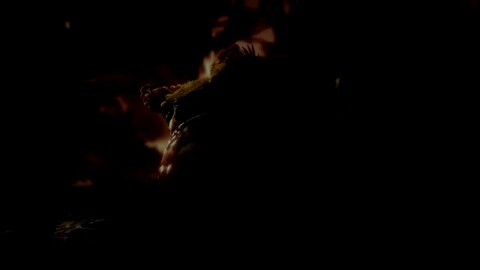 [E3 2017] Ori is back dans Ori and The Will of the Wisps