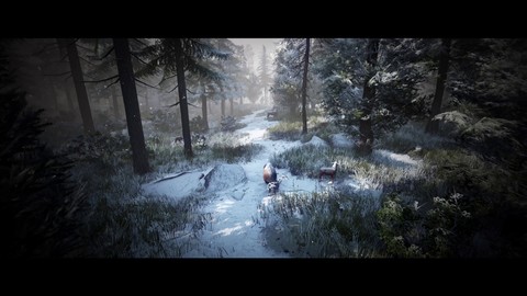 E3 2017 - Bande-annonce de Black Desert Online sur Xbox One et Xbox One X