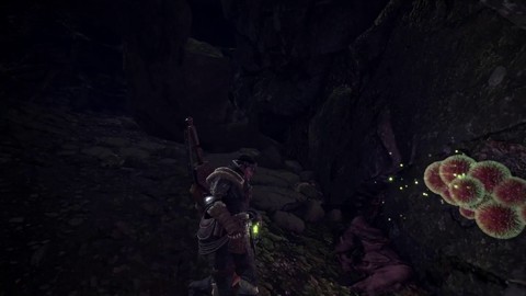 [E3 2017] Capcom parle de Monster Hunter World