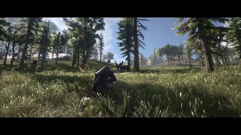 Aperçu de la technologie Ansel à l'oeuvre dans Dark and Light