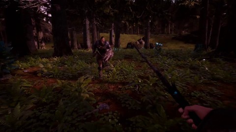 Bande-annonce de lancement de Citadel: Forged with Fire