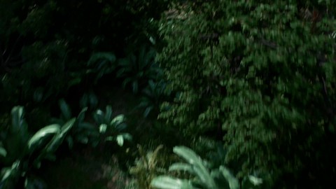 Gamescom 2017 - Une première bande annonce pour Jurassic World Evolution