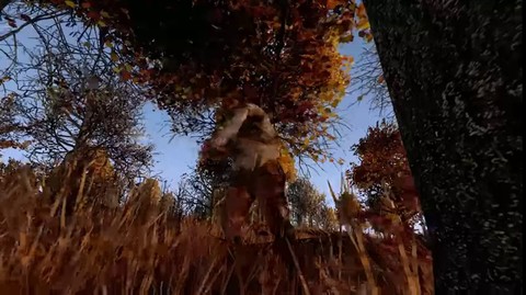 Life is Feudal : MMO disponible le 17 novembre sur steam