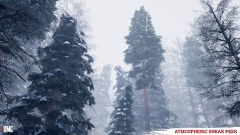 Pré-alpha : aperçu de la gestion climatique de Dead Man's Country